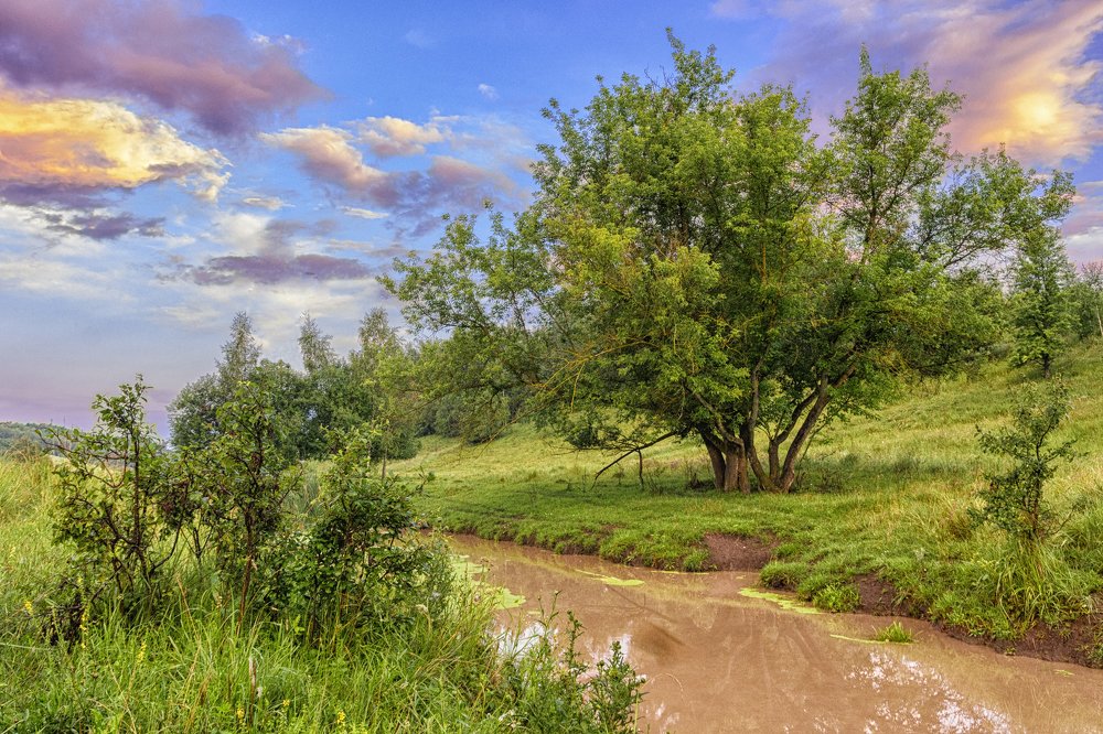 После дождя