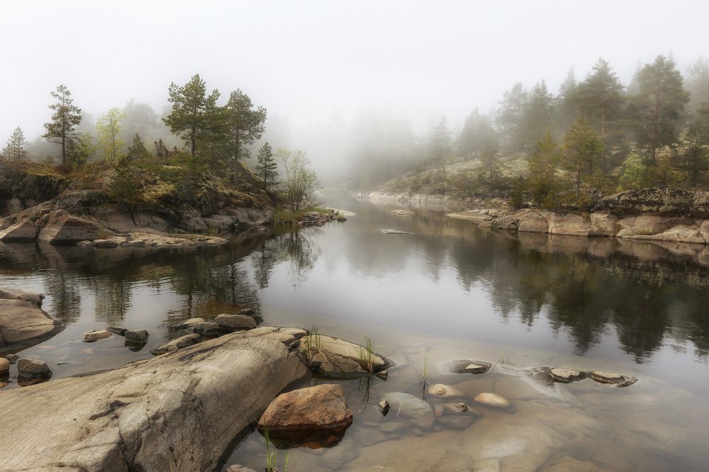 Туман над заливом