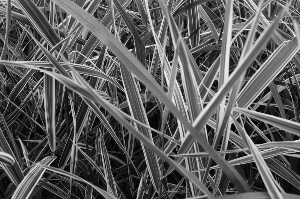 Фотография автора Дмитрий Караваев