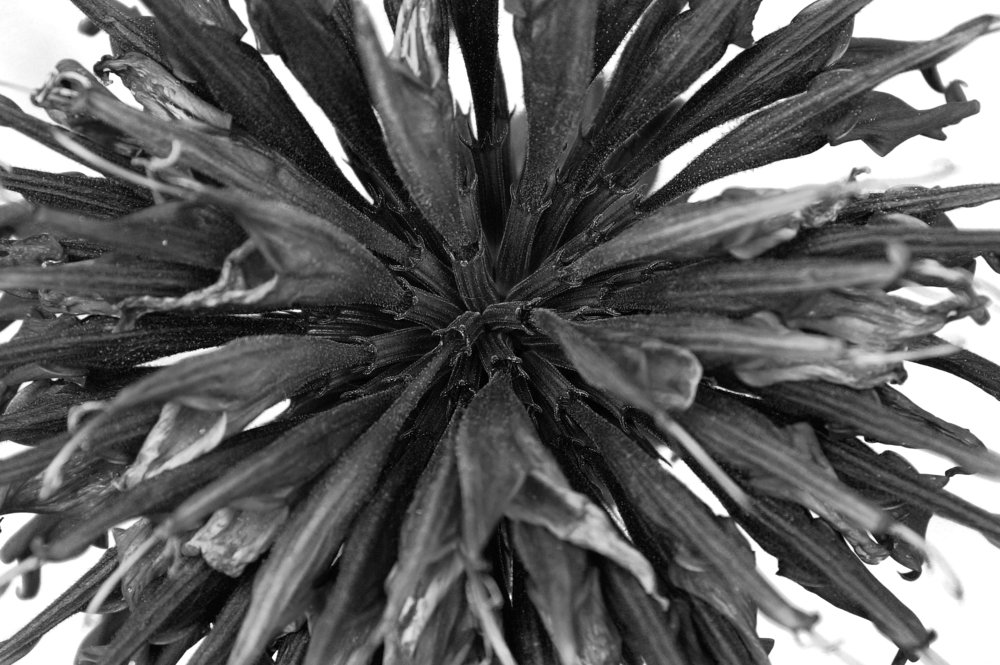 Фотография автора Дмитрий Караваев