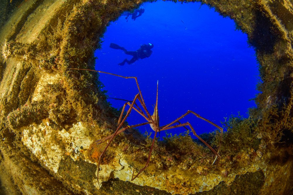 Desde la ventana de un naufragio