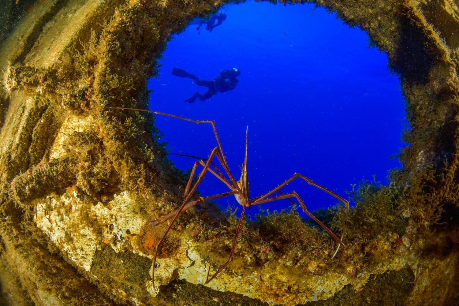 Desde la ventana de un naufragio