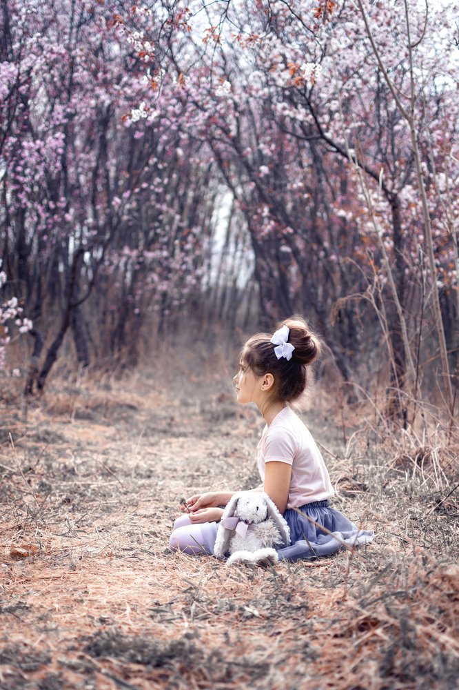 Розовые мечты