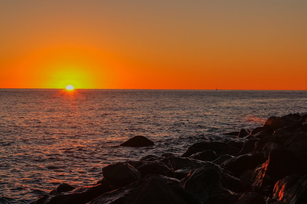 Photograph by Елена Никишина