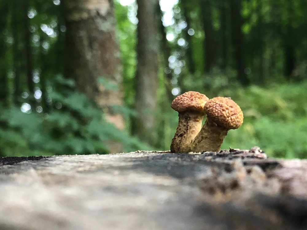 Photograph by Вячеслав Камышев