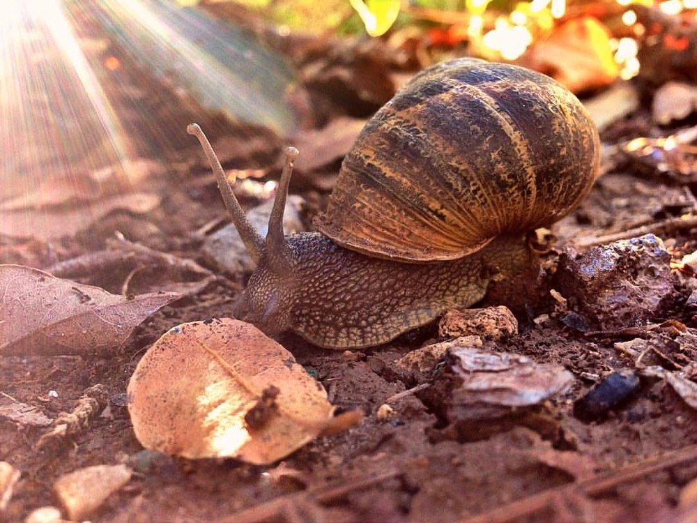 Фотография автора Ksenia Rososhek