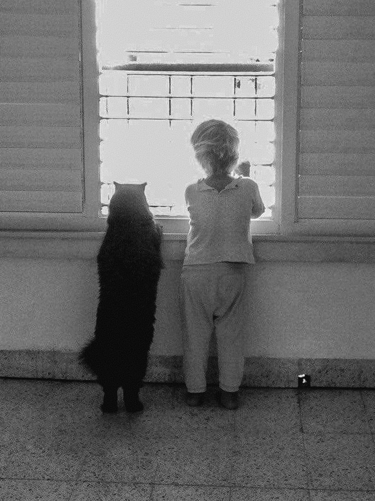 Фотография автора Ksenia Rososhek