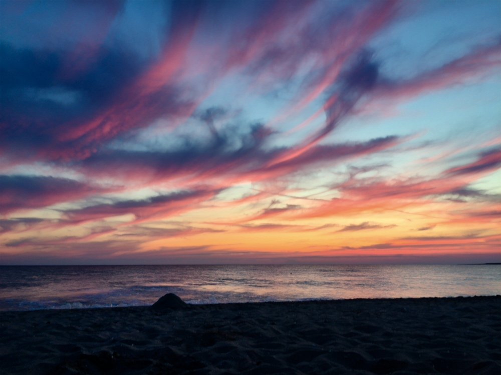 Все прекрасное бесплатно