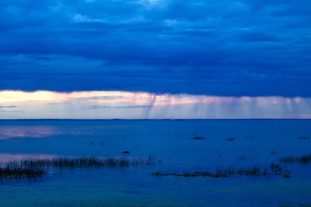 летний дождь