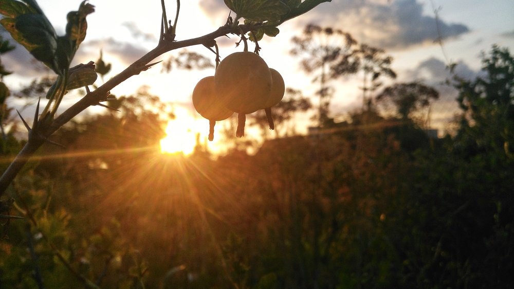 Photograph by Юлия Кулиева