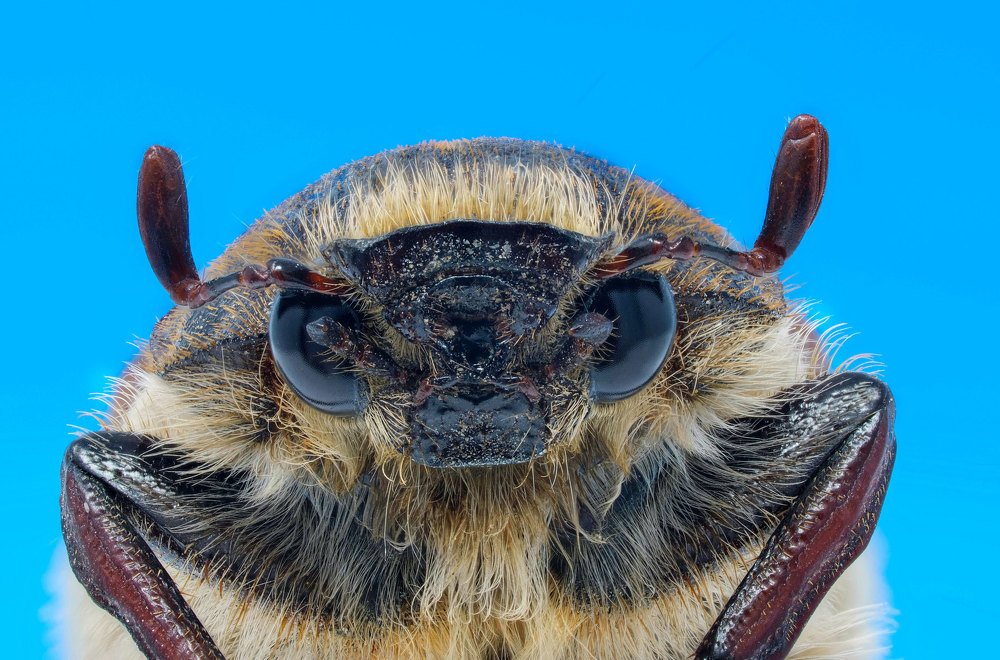 Photograph by Jevgenija Sepeliova