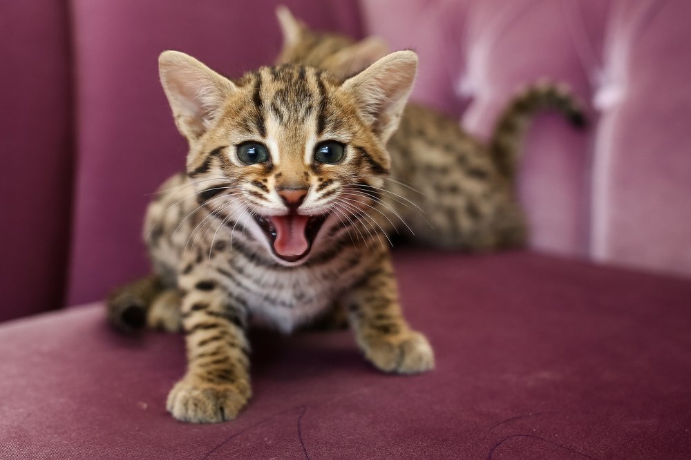 Photograph by Сергей Фомченков