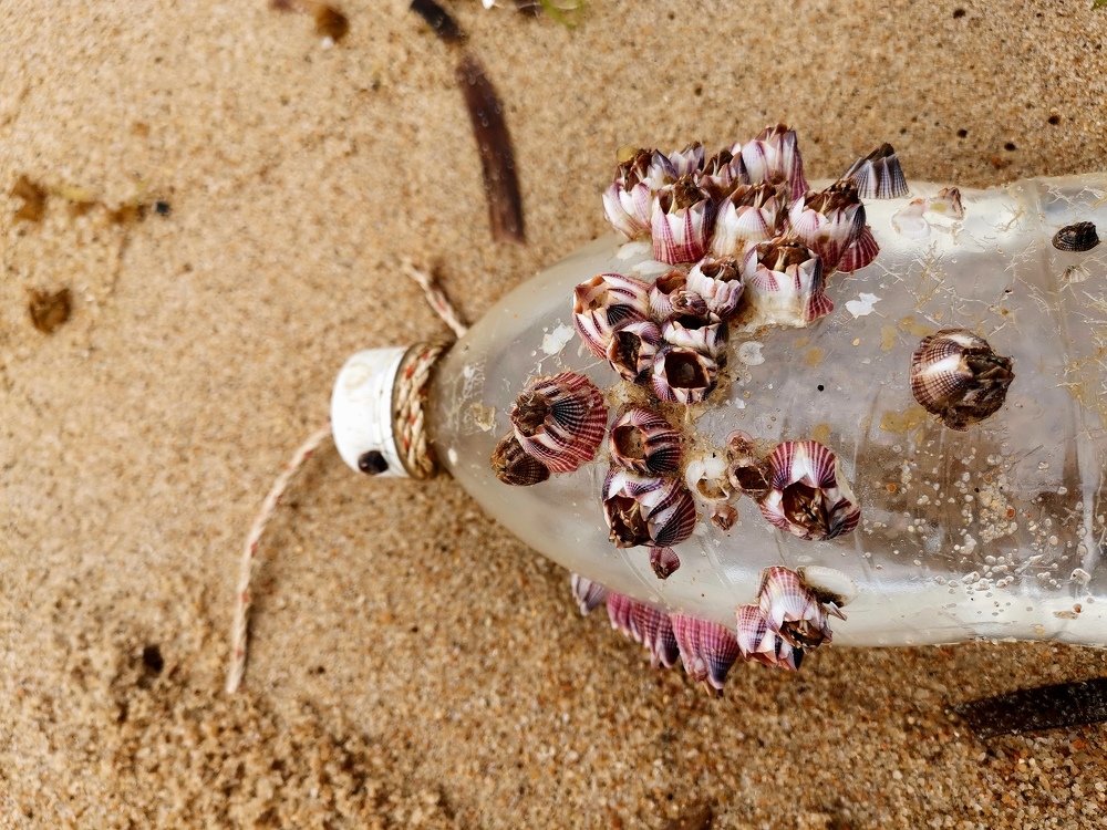 Жизнь начинается с невозможного