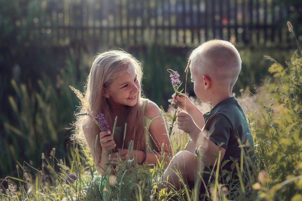 Летние радости