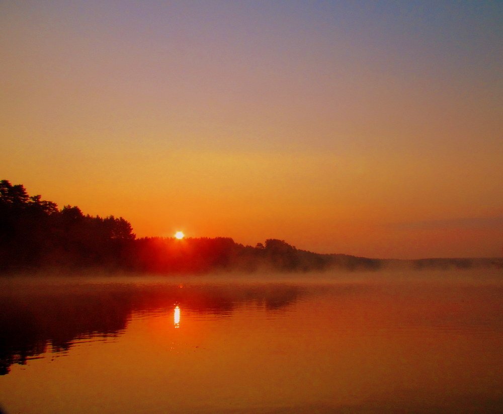 Photograph by Евгений Рогачевский