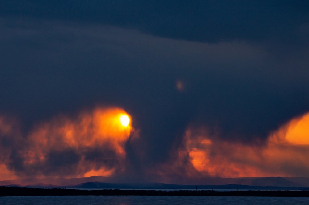 Облачное могучее древо