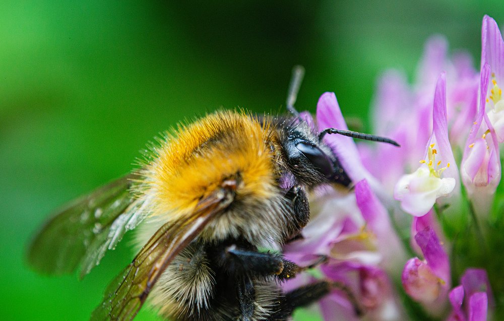 Фотография автора Тамара Нижельская