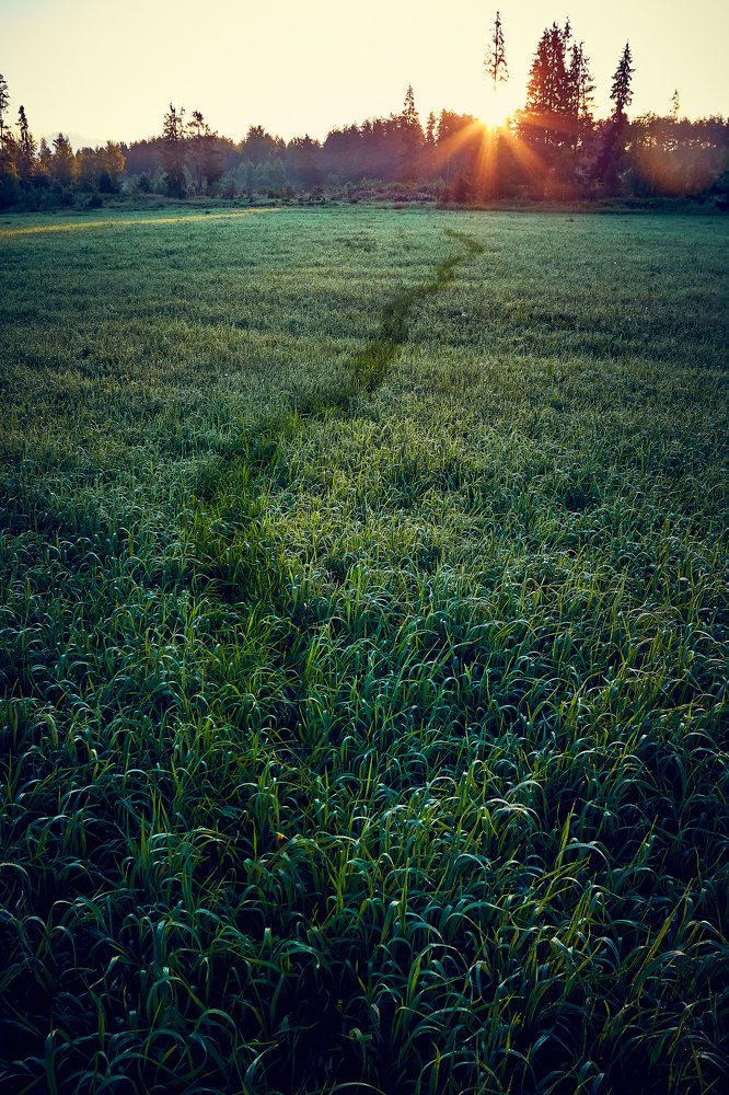 Дорога к солнцу