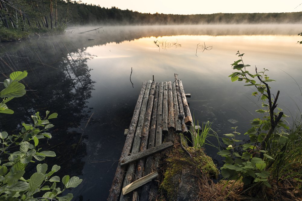 Пробуждение ото сна