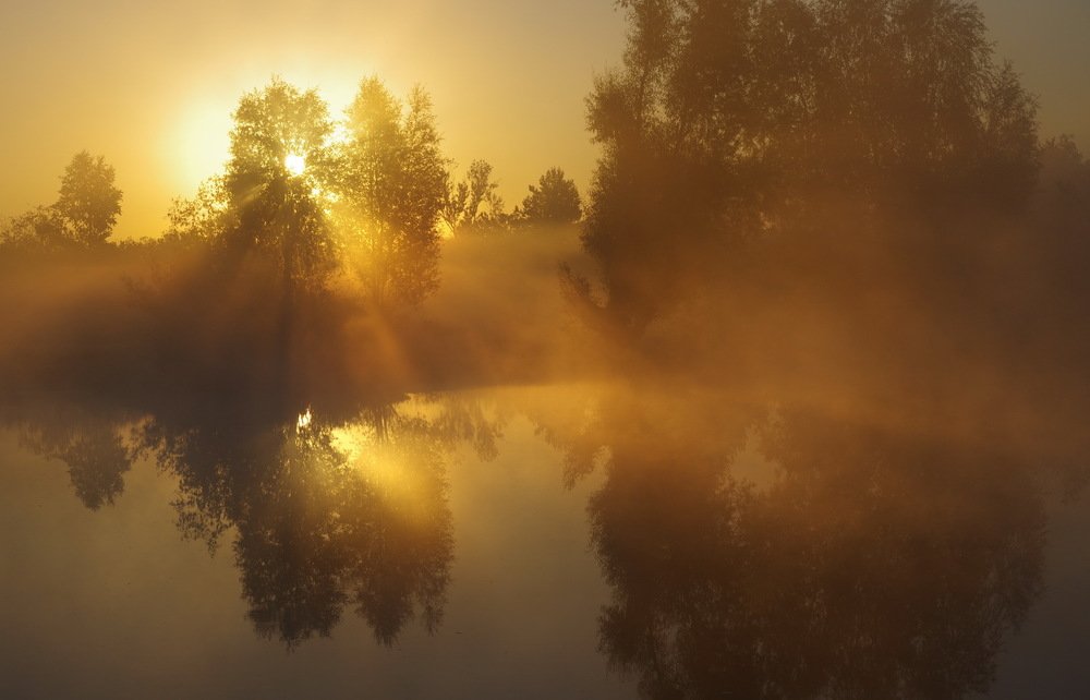 Photograph by Сергей Шляга