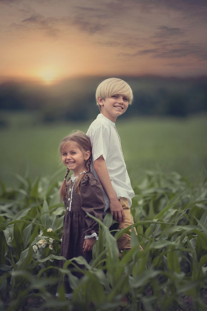 Corn Field Sunset