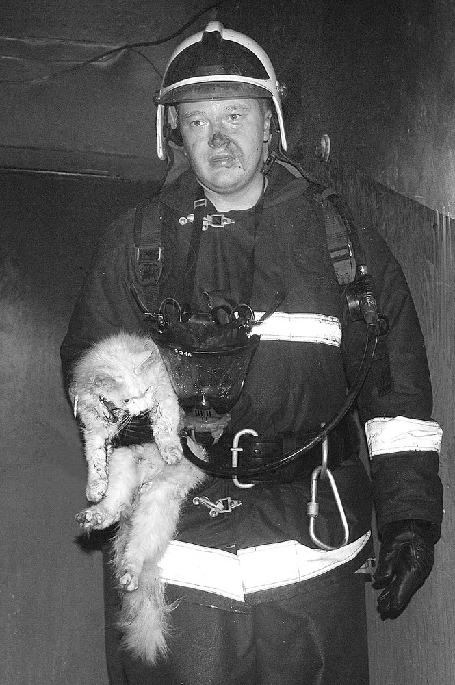 Спасли всех