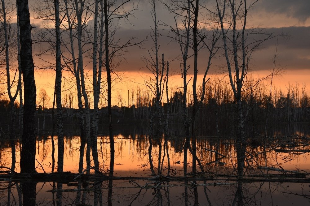 Заброшенное озеро