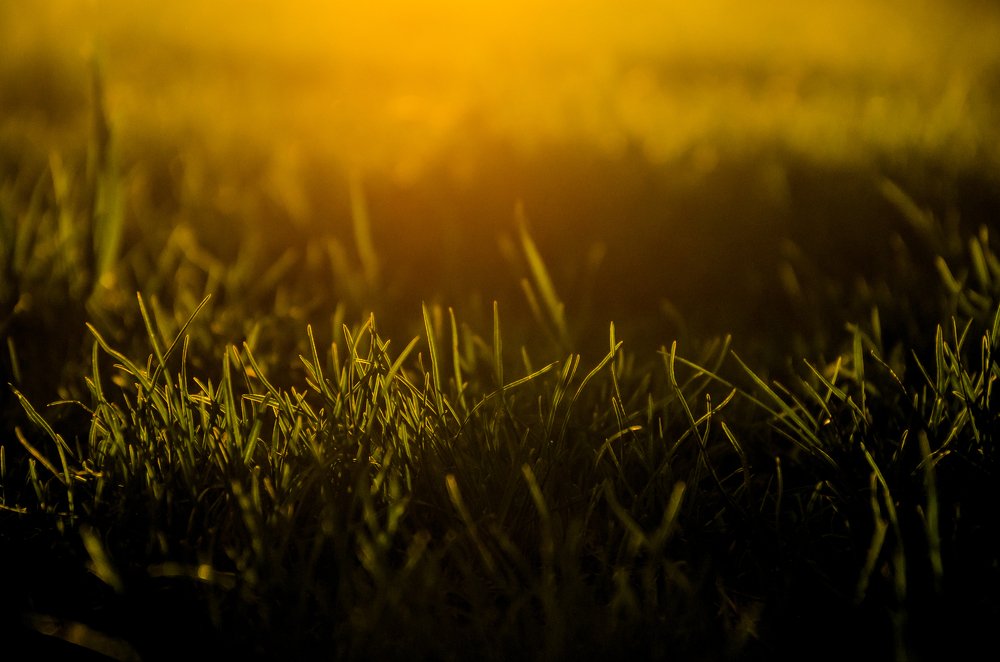 Photograph by Максим Собко