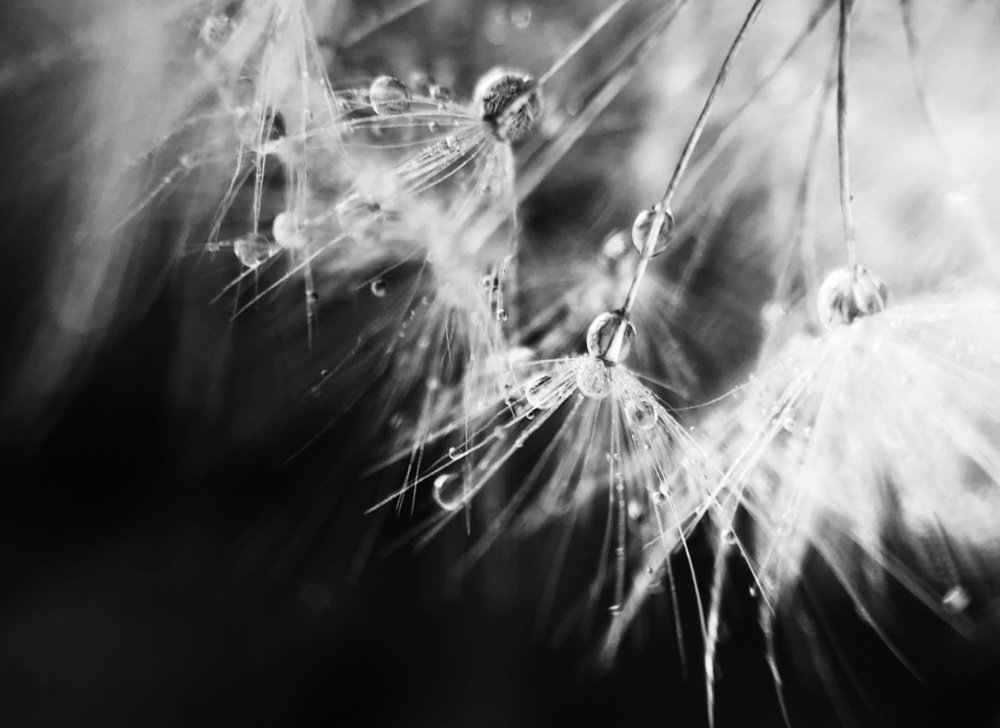 Photograph by Диана Нигматова