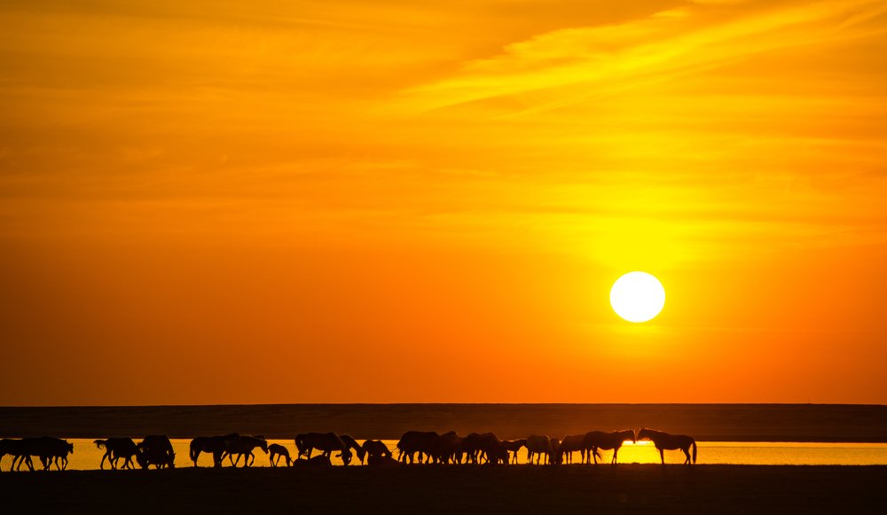 Photograph by Adil Kuandykov