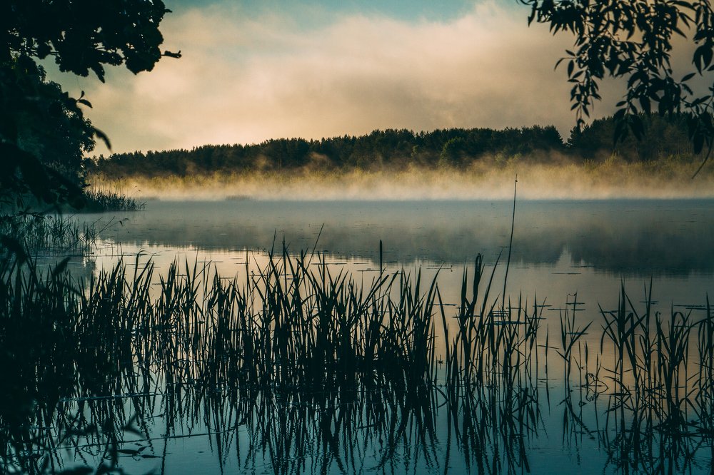 Утро на реке