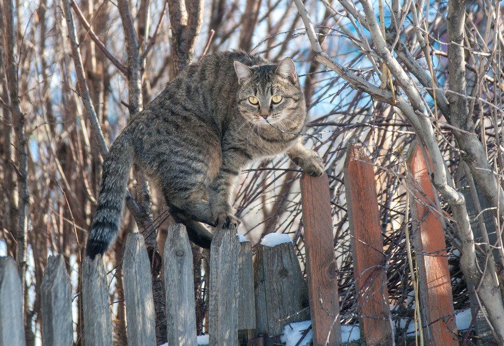 Photograph by Ирина Яук