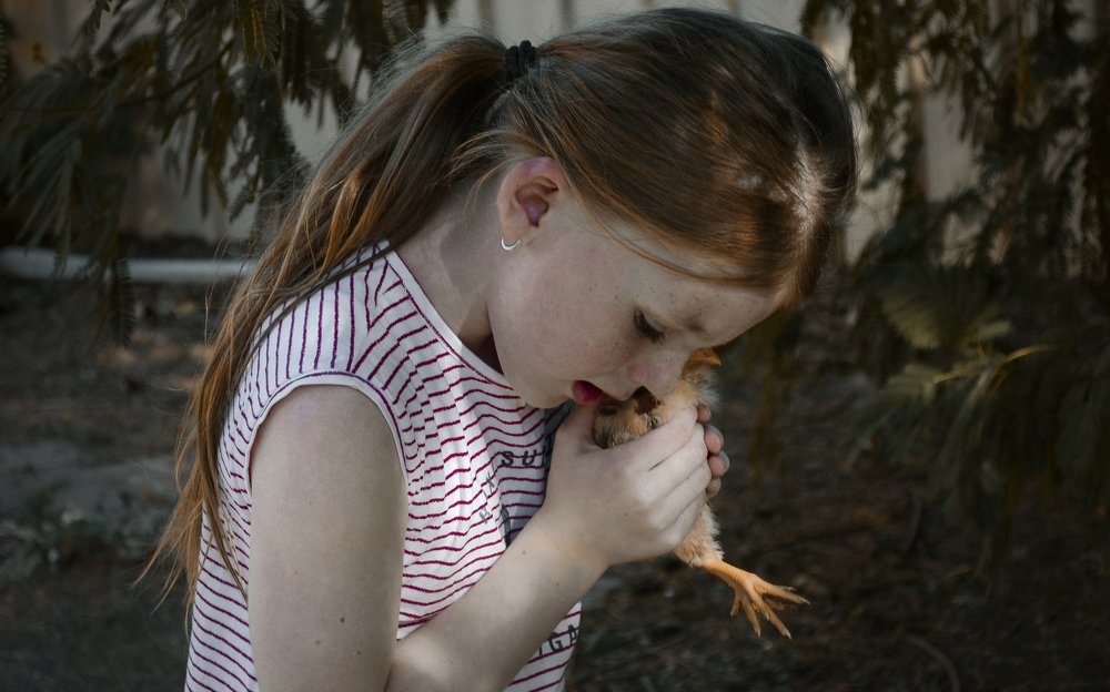 Lily with her baby chicken
