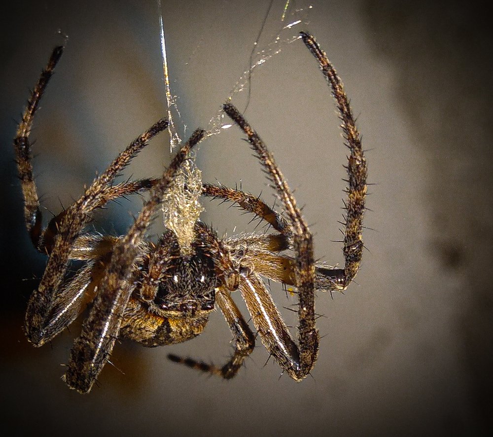 Photograph by Руслан Круглов