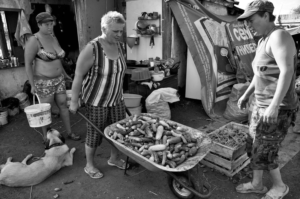 Подготовка корма для коз