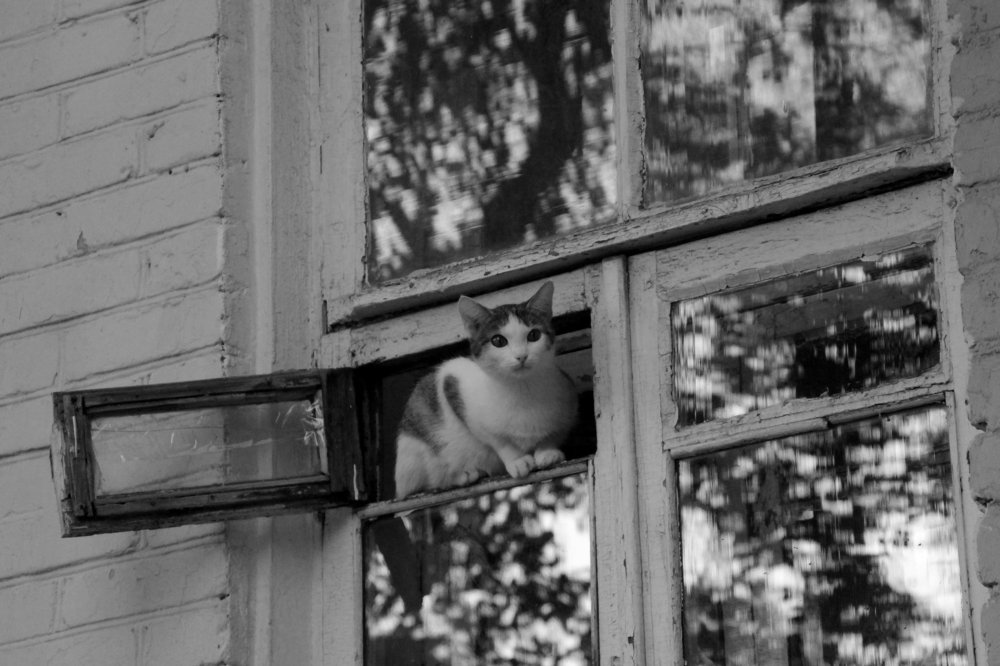 Photograph by Rouslan Chernyshev