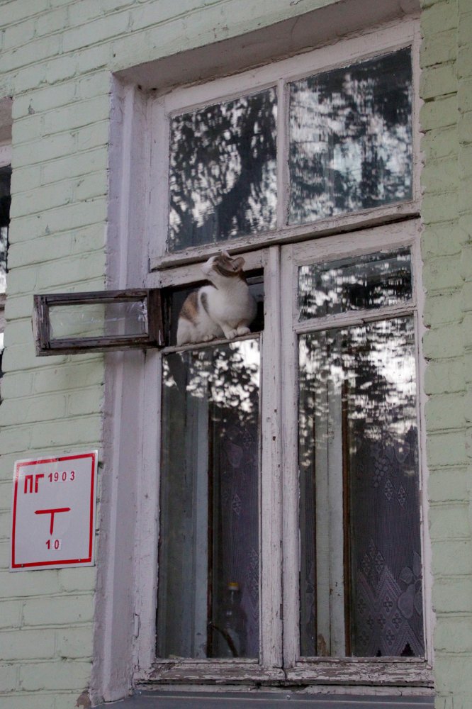 Photograph by Rouslan Chernyshev