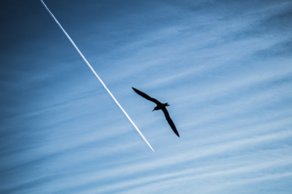 Совместный полет