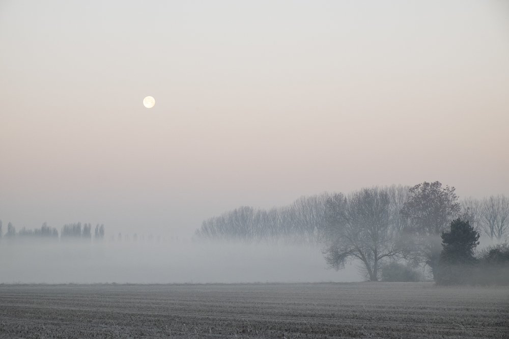 Winter morning, south east Milan