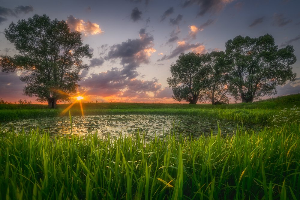 Закат в поле