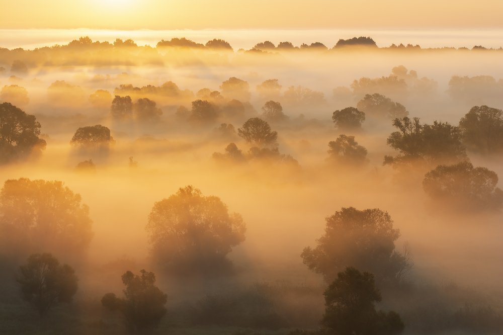 Луч солнца золотого...