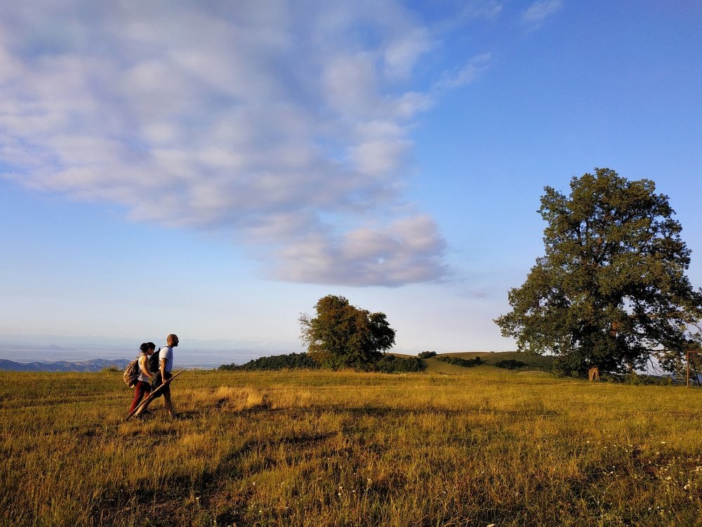 Photograph by Джемма Манукян