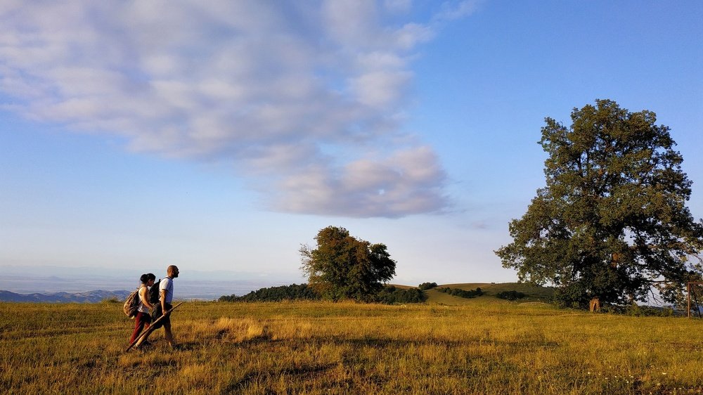 Photograph by Джемма Манукян