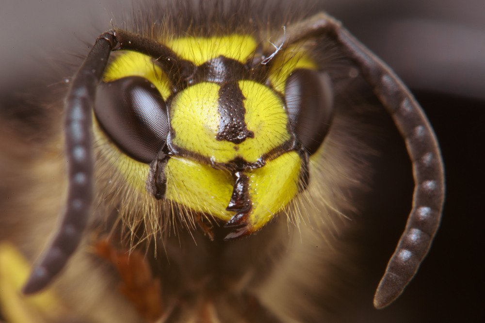Дружеский портрет