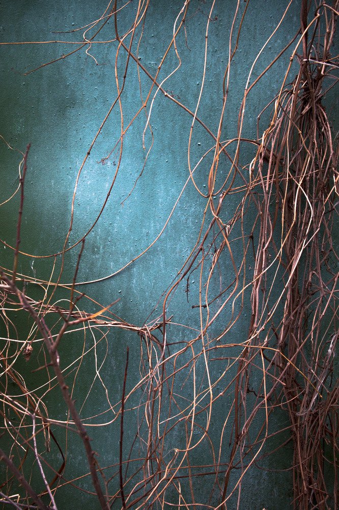 Photograph by Андрей Кульков