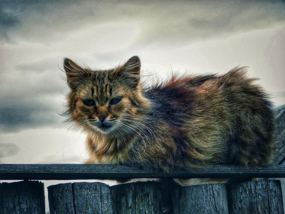 Безмятежность...