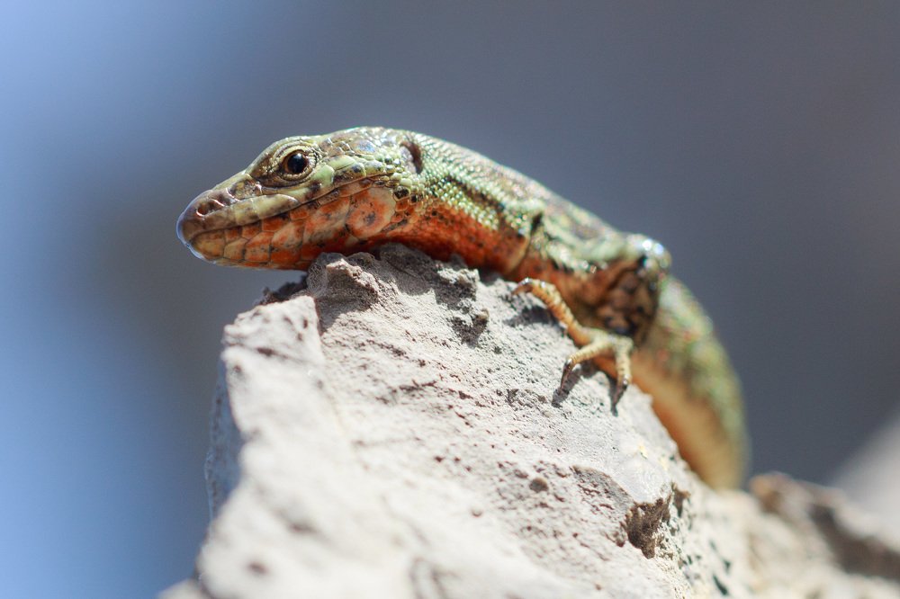 Photograph by Алексей