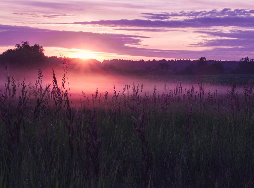 Пурпурный закат