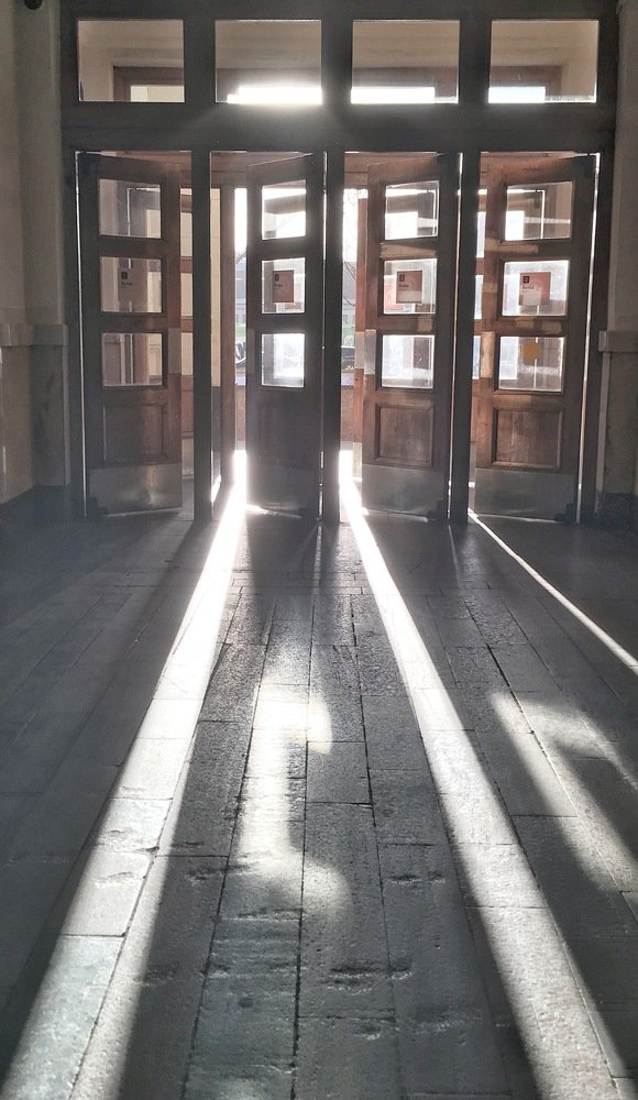 Photograph by Михаил Алещенков