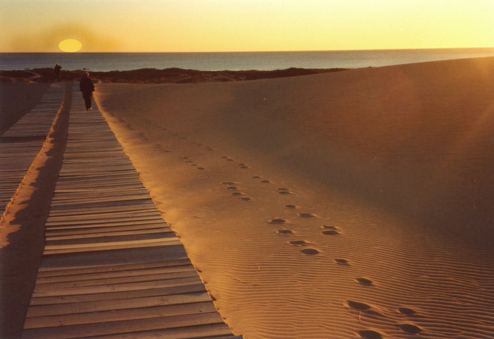 In the sand, to the light